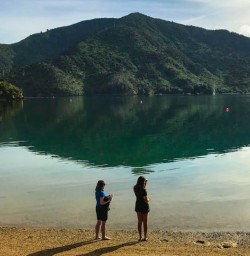 Queen Charlotte Sound scenery