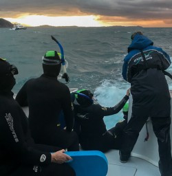Getting ready to swim with dolphins at Kaikoura, New Zealand