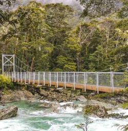 River and bridge on Routeburn track