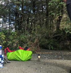 Robin Bird on Routeburn Track, Otago New Zealand