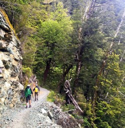 Routeburn Track Hiking