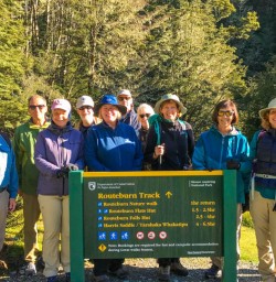 Routeburn track nature walk
