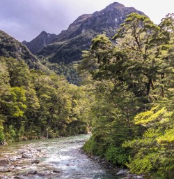 Routeburn track river, Otago New Zealand
