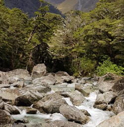 Routeburn track river, Otago New Zealand