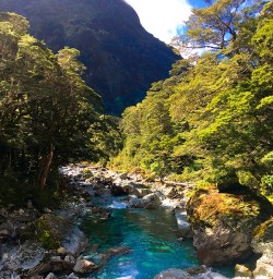 No filter needed on this amazing day out on the Routeburn track
