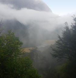 6 routeburn track valley fiordland southland
