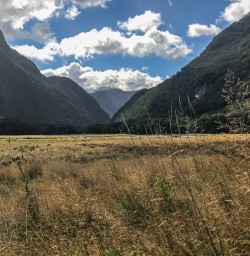 Routeburn track valley, otago new zealand