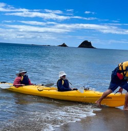 Coromandel coastline