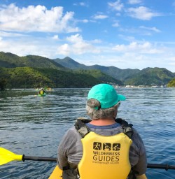 6. Solo guest Kayaking Queen Charlotte Sound