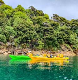 Various greens of Queen Charlotte Sound