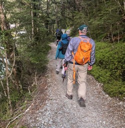 Walking above Routeburn track river, Otago New Zealand