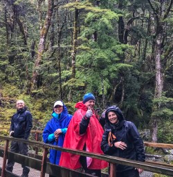 Waterfall on Routeburn track