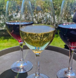 Wine glasses Wairau River