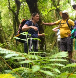 6. Guide and guests on Hollyford Track