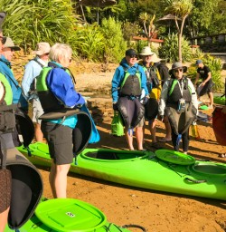 6. Kayaking Lochmara Lodge