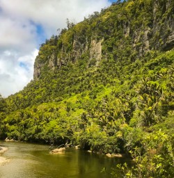 6. Pororari River Track views