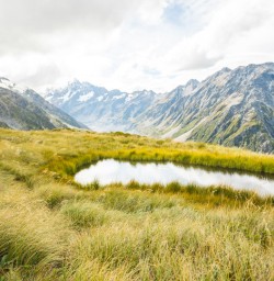 6. Views of Mt Cook across Sealy Tarns