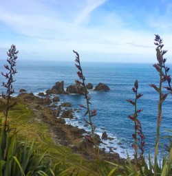 6. West Coast views Cape Foulwind