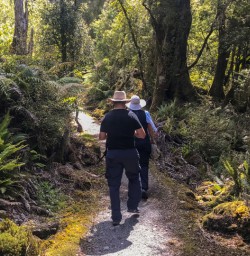 6. Guests walking Pororari River Track