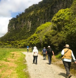 6. Pororari River Track