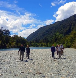 Hiking Hollyford Track