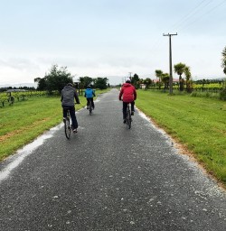 Biking in Marlborough Vineyard