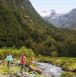 View on Milford Road