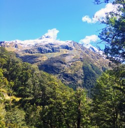 Hiking Routeburn Track
