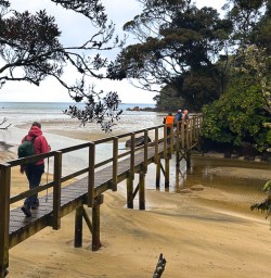 Adventures in Stewart Island