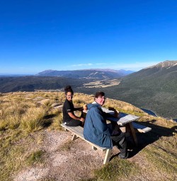 Bushline Hut hiking and walking tour 