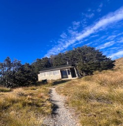 Bushline Hut small group tour 