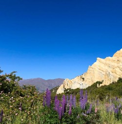 Clay cliffs 25 November 2024 2