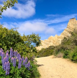 Clay cliffs 25 November 2024