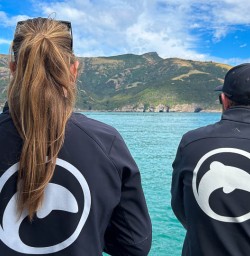 Dolphin swim adventure tours 