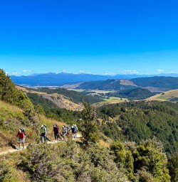 Exploring Nelson National Parks 