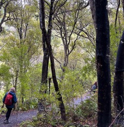 Exploring Stewart Island with New Zealand Trails