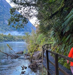 Exploring the Milford Track