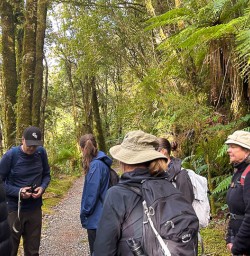 Fiordland National Park hiking and walking tours