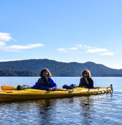 Guided kayaking tours 
