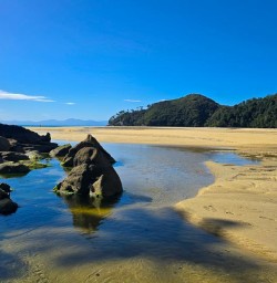 Hike the Honeydew track and water taxi to Awaroa
