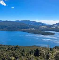 Hike to Bushline Hut