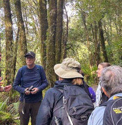 Hiking and adventure tours in New Zealand 