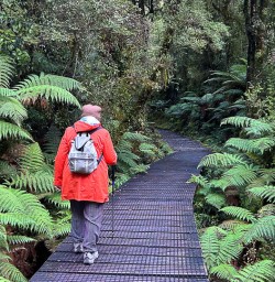 Hiking on the Milford Track