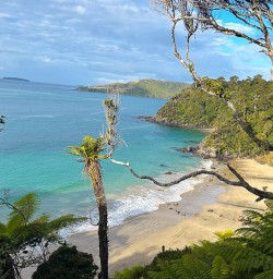 Hiking tours in Stewart Island