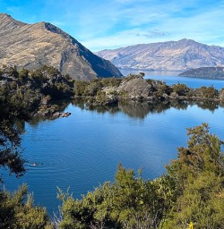 Hiking tours to Mou Waho Island