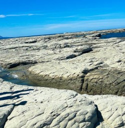 Kaikoura peninsula