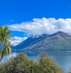 Kelvin Heights New Zealand