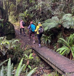 Luxury Hiking tours