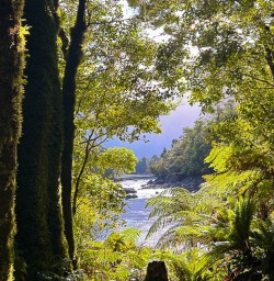 Luxury hiking tours in the Milford Track