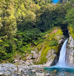 Milford Track in Fiordland National Park